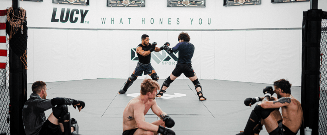Dutch Kickboxing vs. Muay Thai.