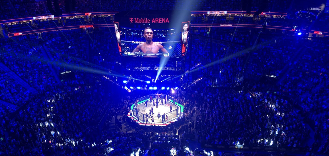 When did modern MMA begin? A look at the UFC's development from 1993 to today.
