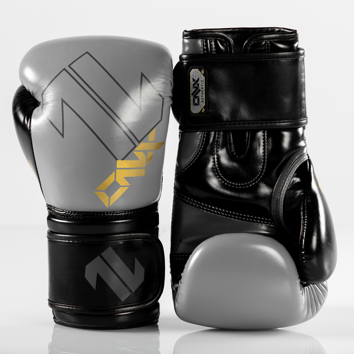 ONX Ignite Boxing Training Glove
