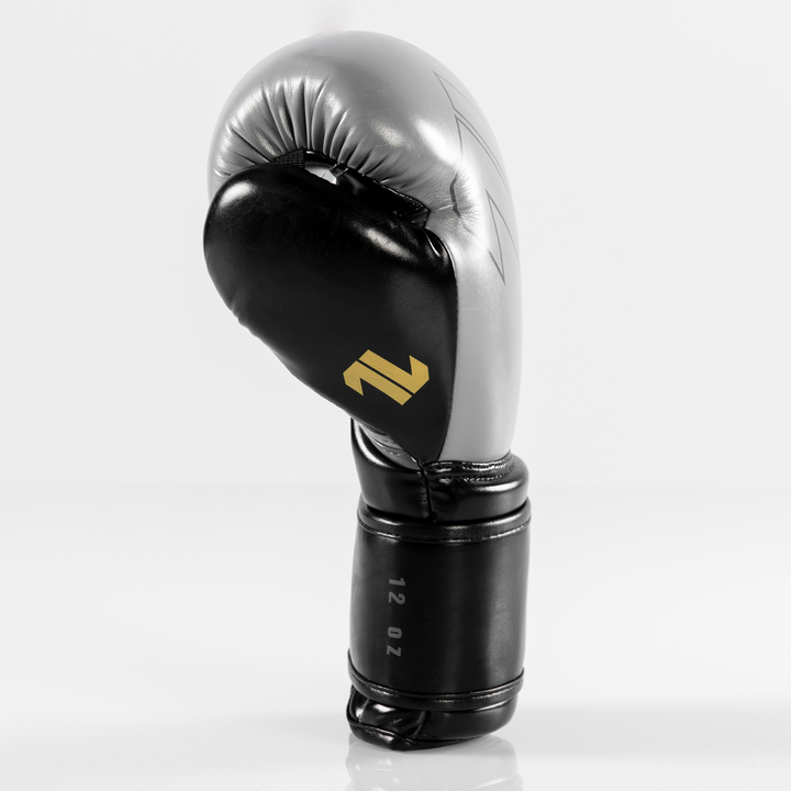 ONX Ignite Boxing Training Glove