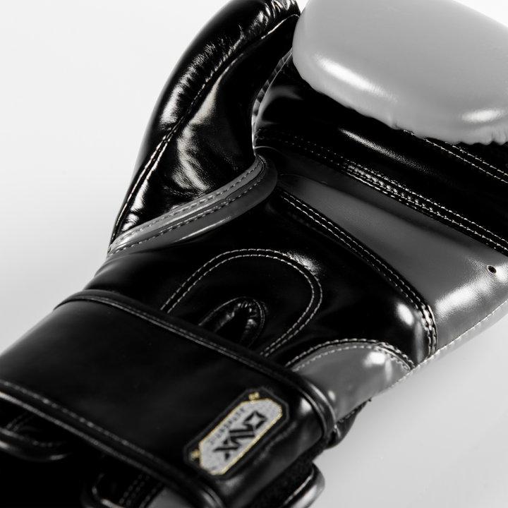 ONX Ignite Boxing Training Glove