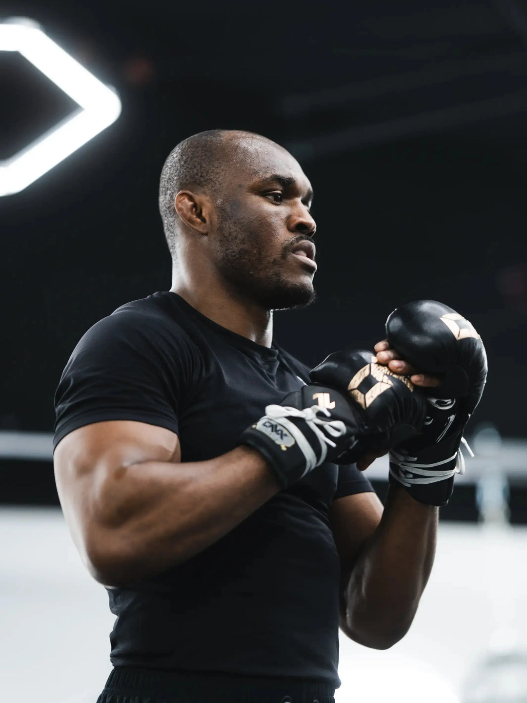 Best Gloves for Sparring Boxing: Top Picks for Ultimate Protection