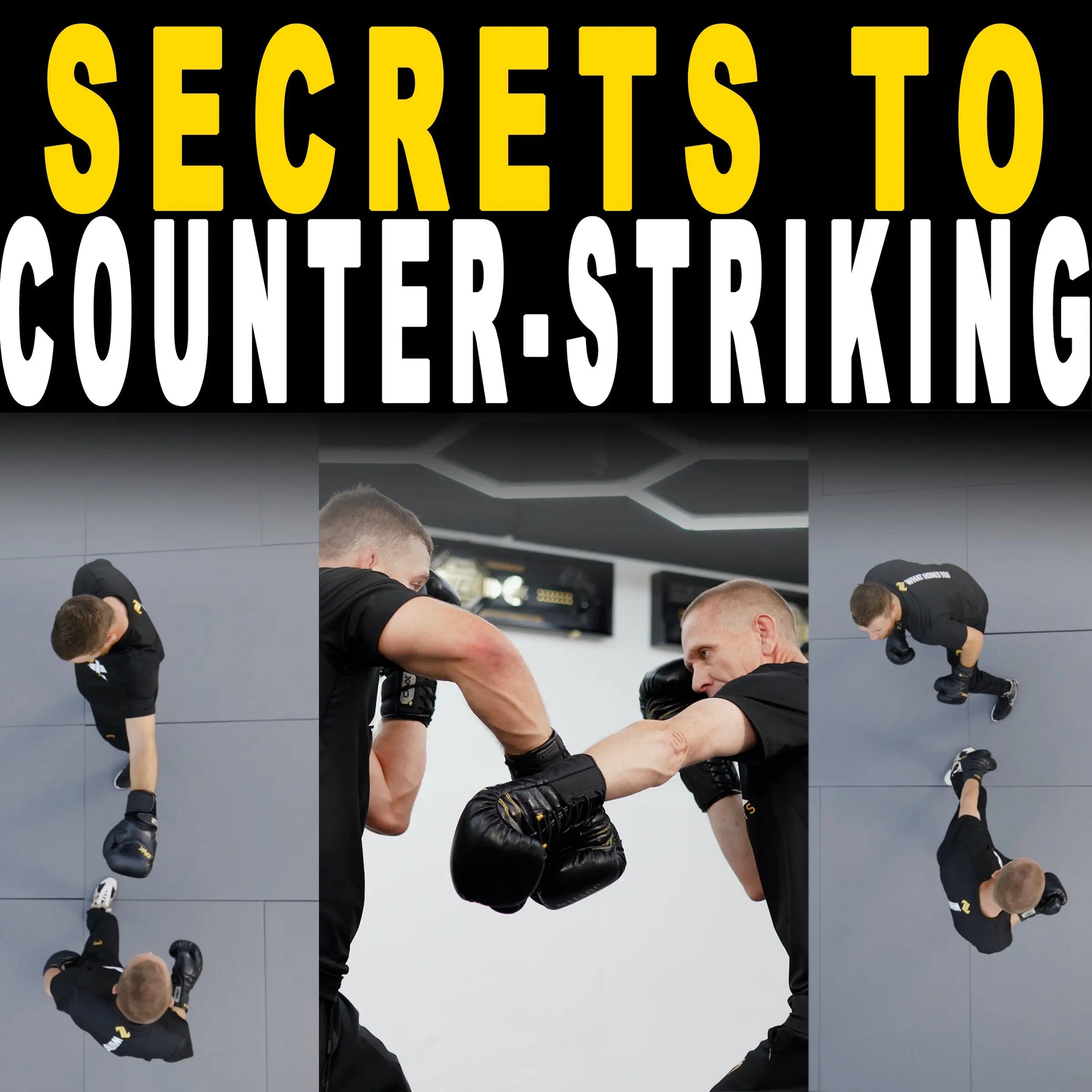 MMA Secrets to Counter-Striking | Elite Video Course – ONX – ONX Sports ...