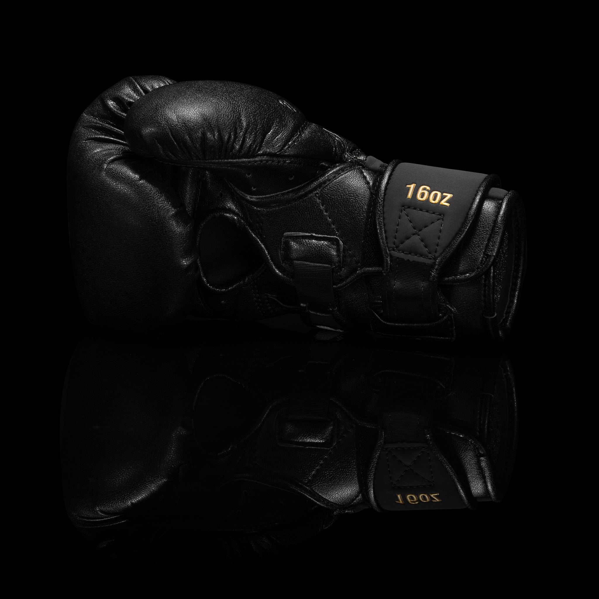Premium Martial Arts Equipment | MMA Gear & Equipment Premium Martial Arts Equipment | MMA Gear & Equipment